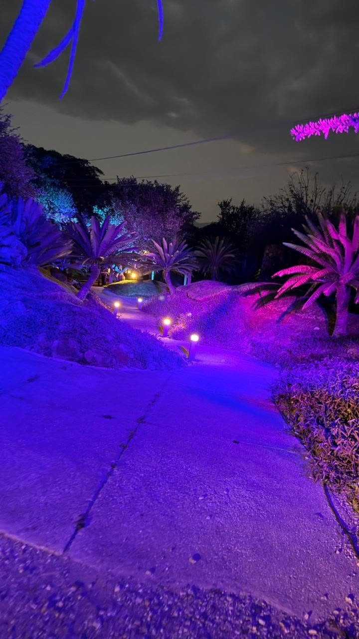 Jardín ambientado con iluminación morada para evento nocturno